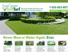 Tablet Screenshot of evergreentuffturf.com